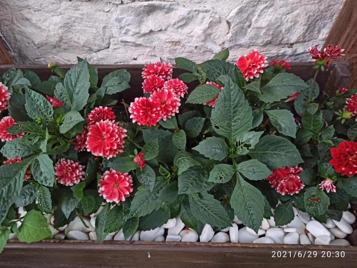 Konak Bindalli Bed and Breakfast Karabuk  Esterno foto