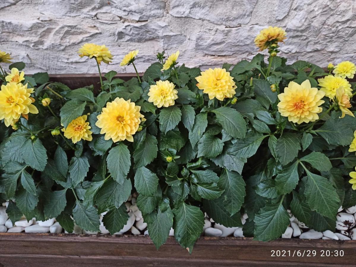 Konak Bindalli Bed and Breakfast Karabuk  Esterno foto